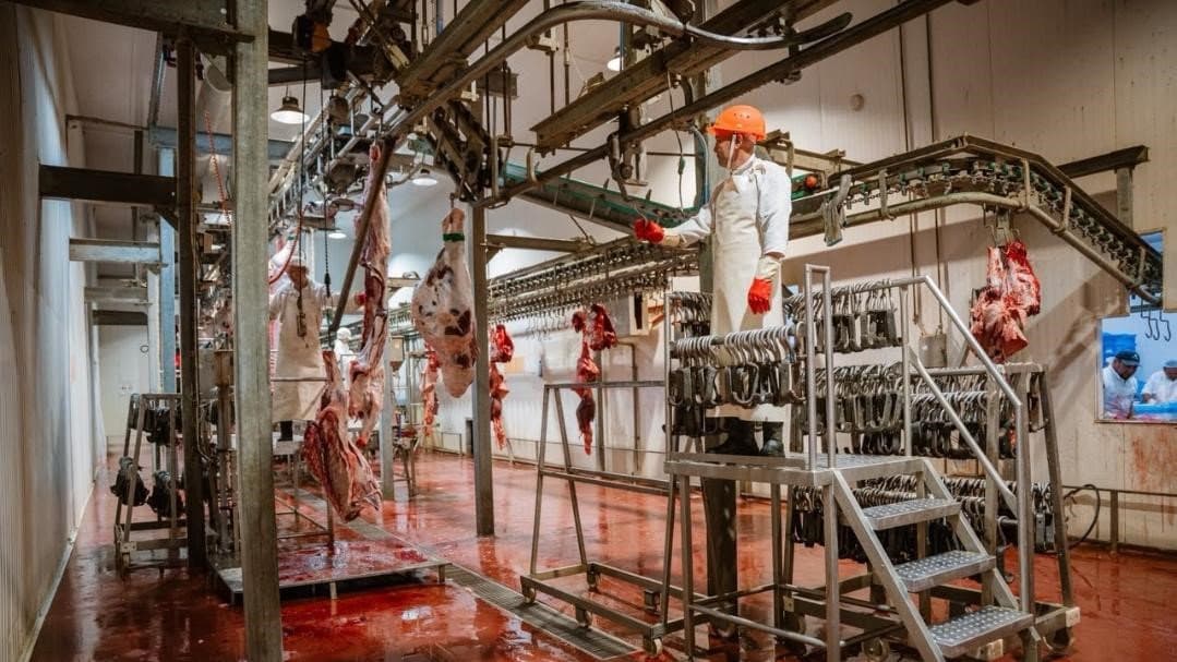 Kublei Livestock Feedlot and Meat Processing Plant — project photo