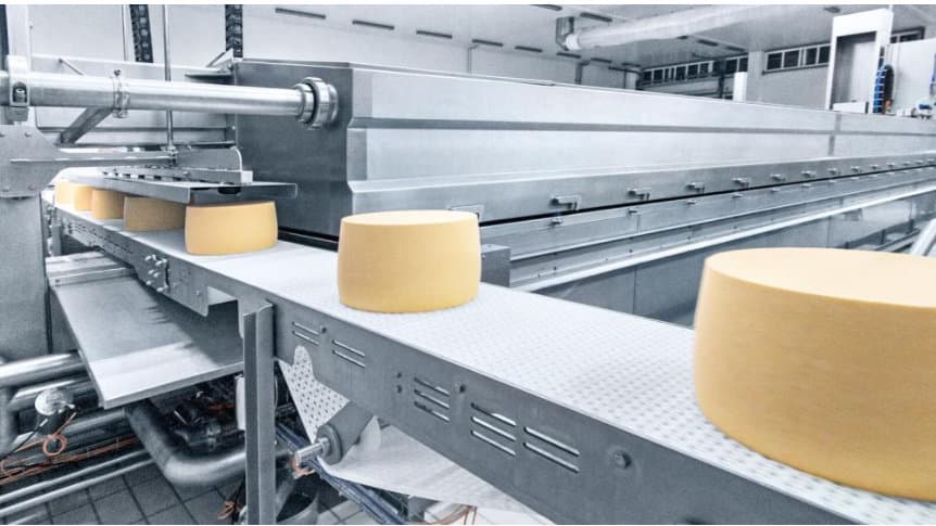 Cheese-Based Product and Cheese Production Plant for HoReCa — project photo
