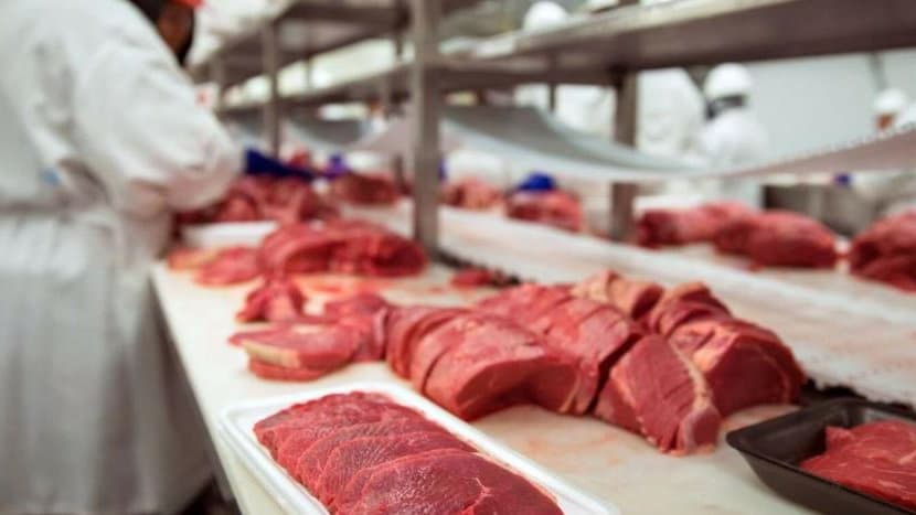 Construction of a Meat Processing Plant with Slaughtering Facilities — project photo