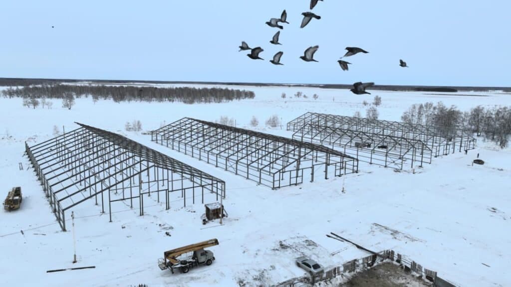 Dairy‑Livestock Private Farm “Tapaev T.B" — project photo
