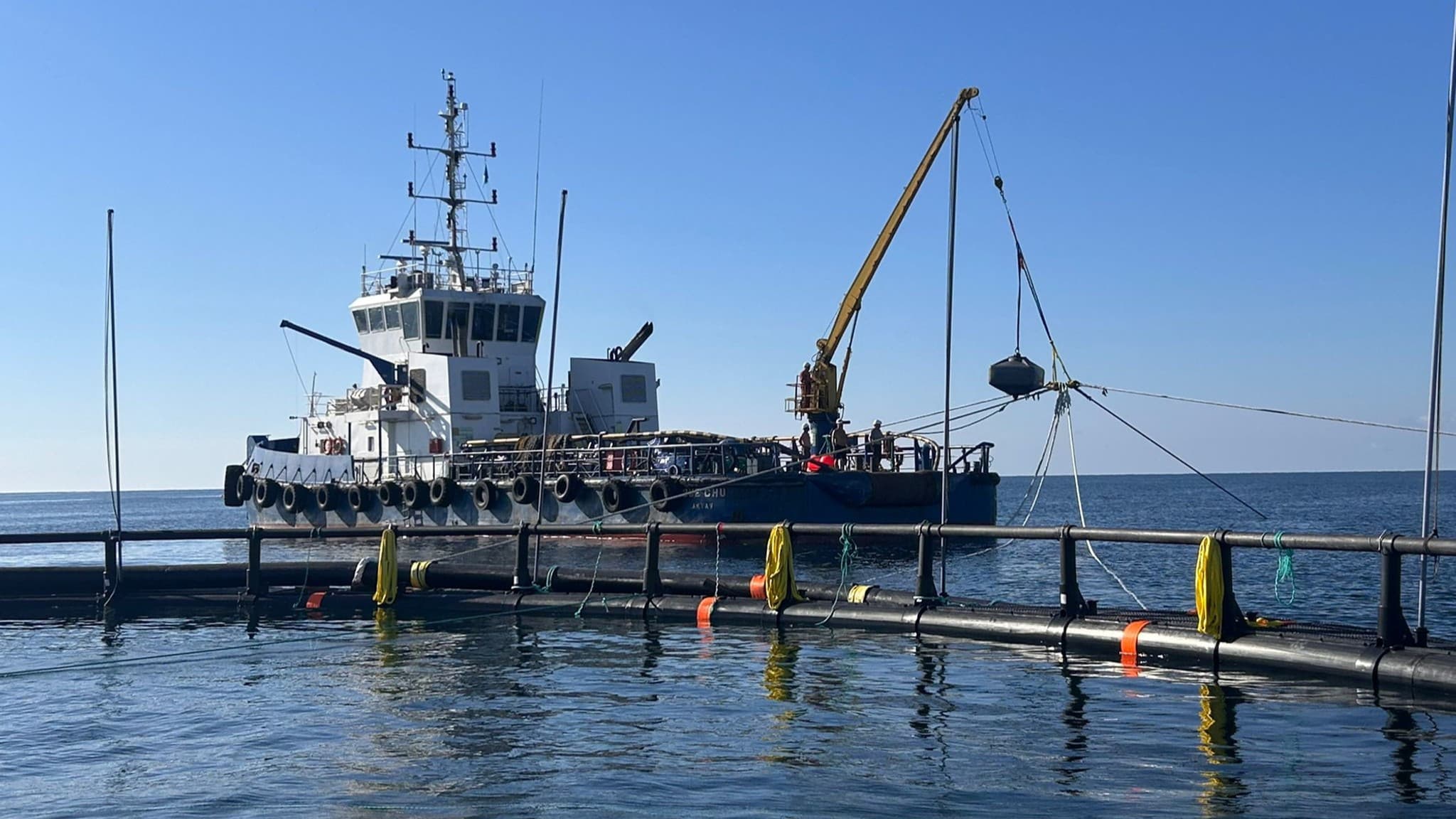 Mangystau Salmon Aquaculture Project — project photo