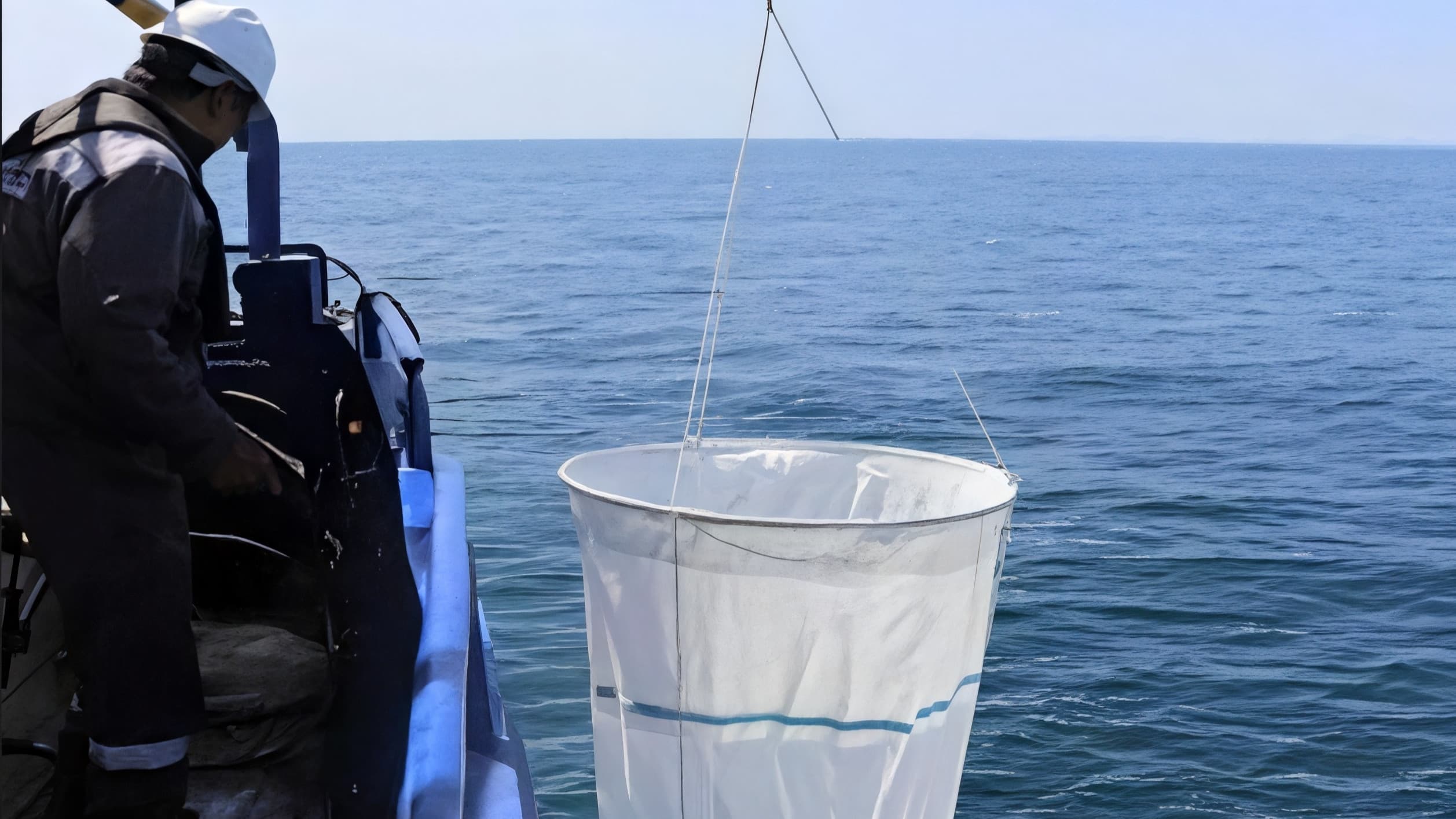 Sea Trout Aquaculture Project in the Caspian Sea — project photo