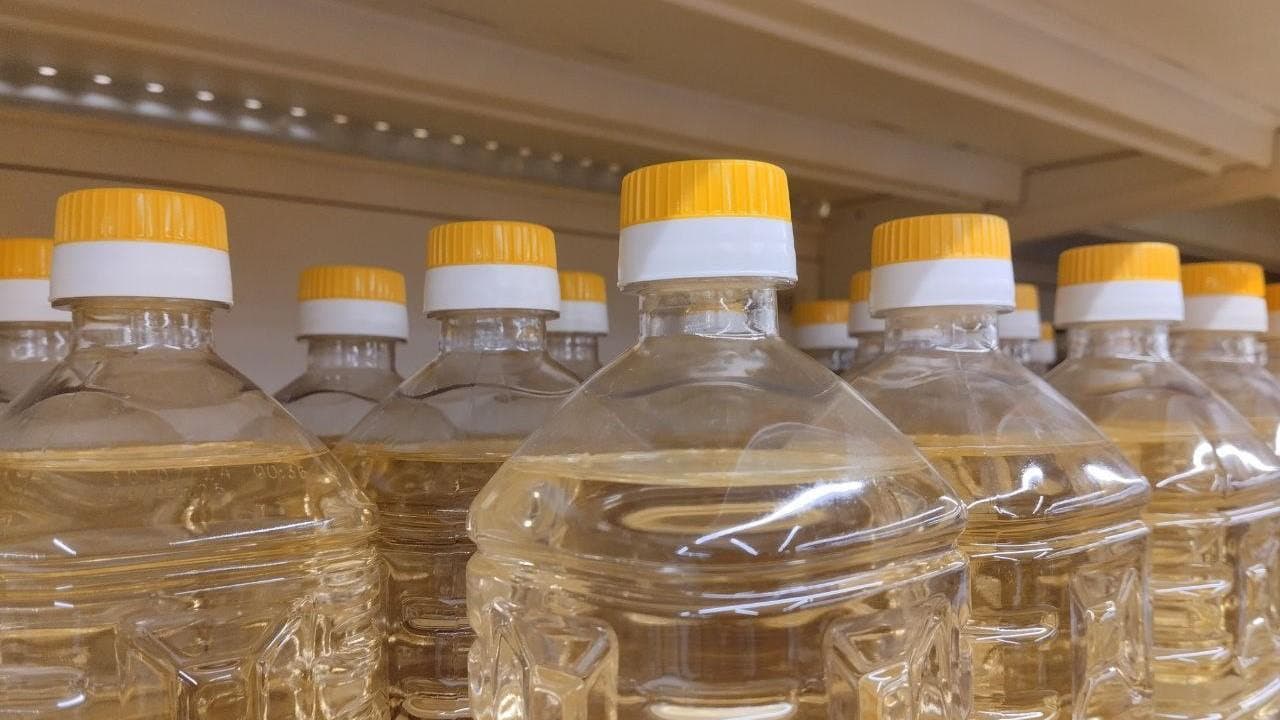  Seed Oil Extraction Plant in the Kostanay region — project photo