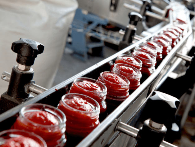 Tomato Paste Production Plant and Greenhouse Complex in Kyzylorda Oblast — project photo